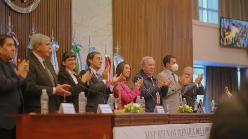 El NEA se incorporó al Parlamento del Norte Grande