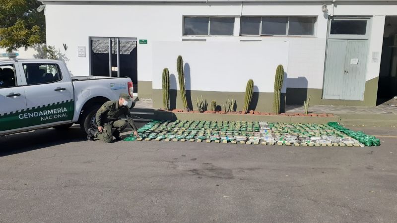 Incautan 231 kilos de hojas de coca en Salta, Catamarca y La Rioja