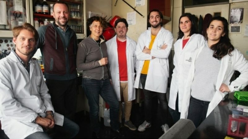 Una dosis diferente de refuerzo aumenta notablemente la inmunidad contra Ómicron