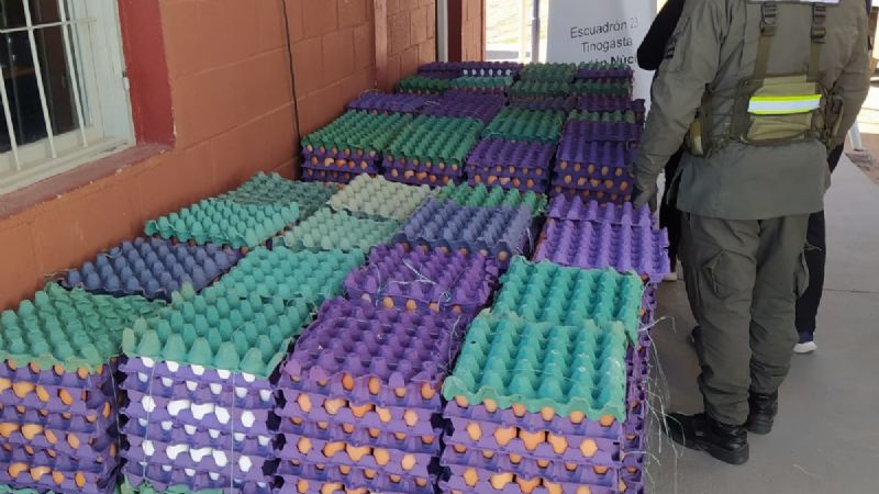Transportaba más de 23.000 huevos sin la correspondiente documentación sanitaria