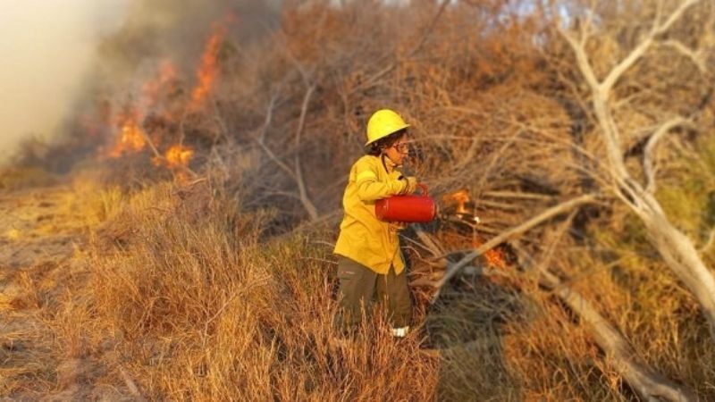 Realizaron una quema controlada de pastizales