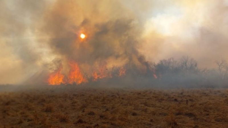 Realizaron una quema controlada de pastizales