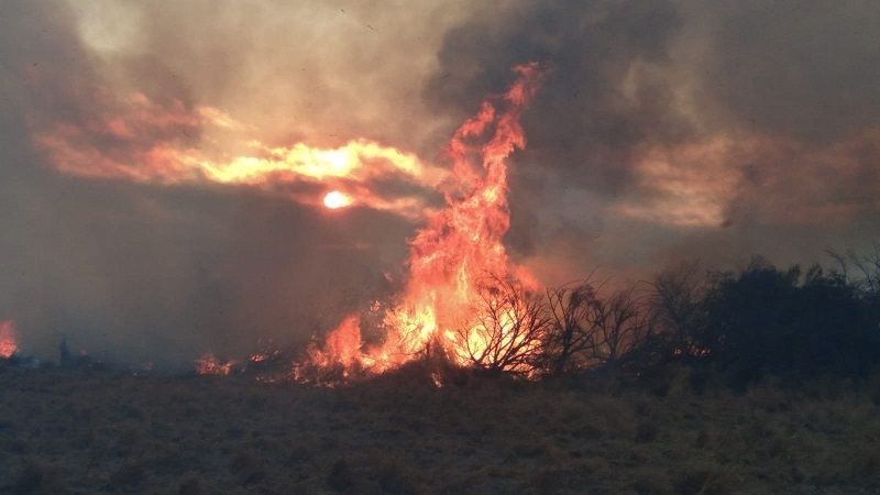 Realizaron una quema controlada de pastizales