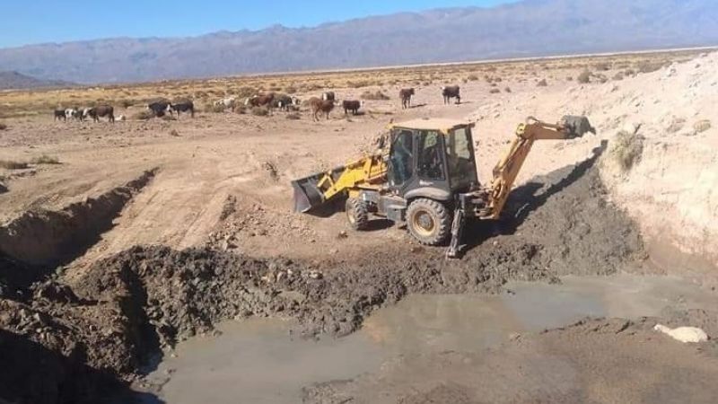 Asistencia al sector productivo ganadero