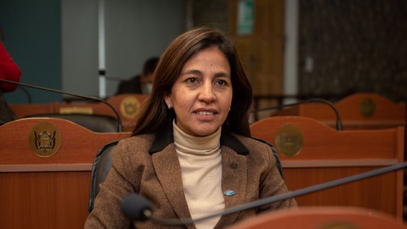 Catamarca estuvo presente en el encuentro nacional para la Ley 1000 Días