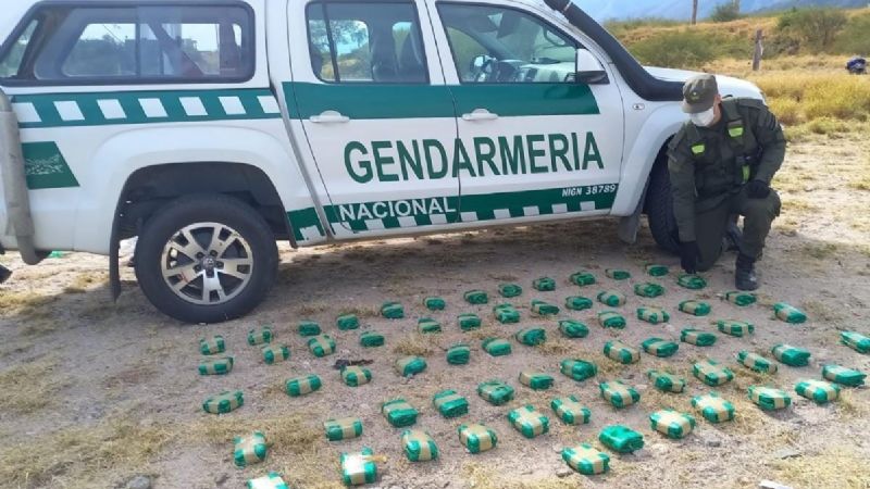 Ocultaban 20 kilos de hojas de coca en un ómnibus
