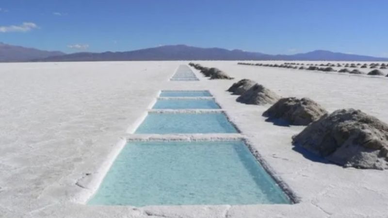 Livent podría recibir una millonaria multa