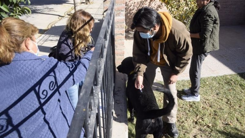Campaña de vacunación y censo de mascotas