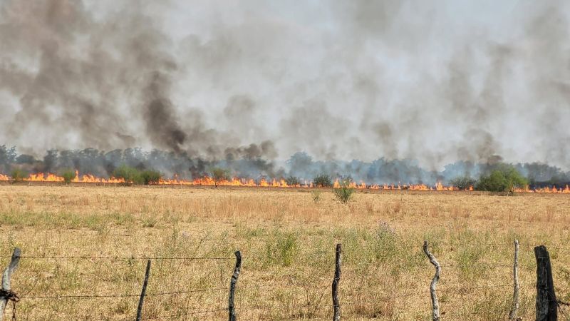El RENATRE amplió el beneficio para empleadores en zonas de emergencia agropecuaria