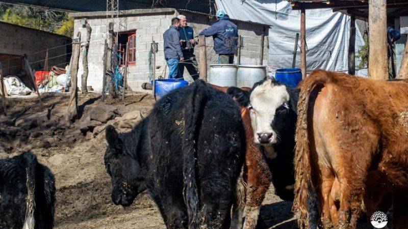 Declaran la emergencia hidrica y forrajera en Paclín