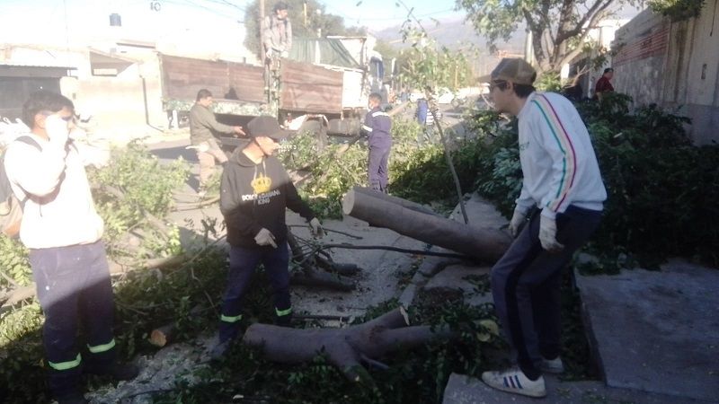 Amplio operativo de limpieza en la ciudad