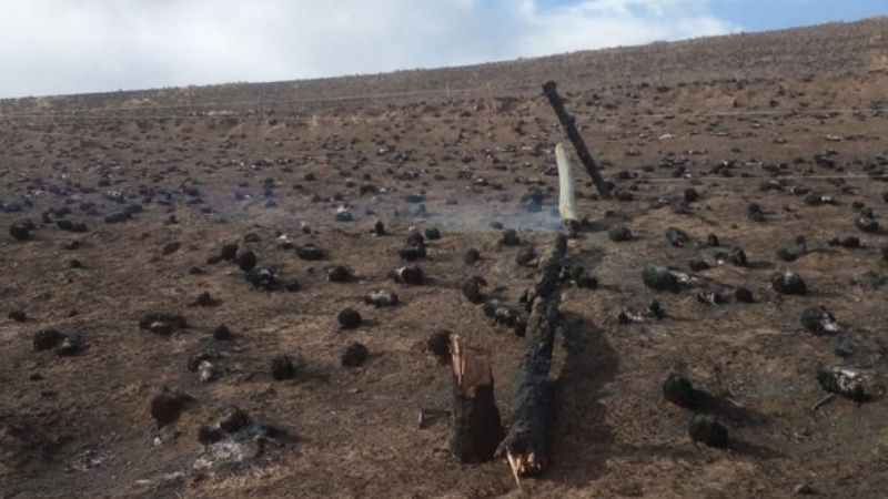 Varios kilómetros de línea eléctrica cayeron a tierra