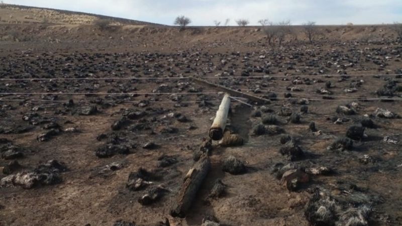Varios kilómetros de línea eléctrica cayeron a tierra