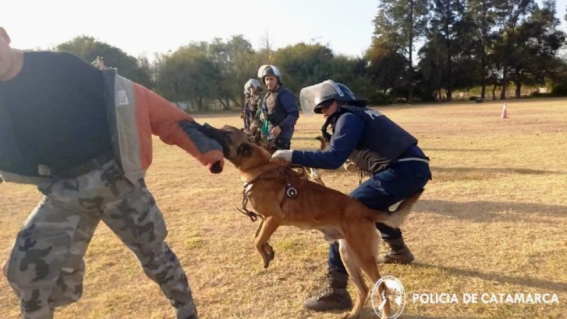 Finalizó el II Segundo Curso Básico Provincial de Guías de Canes de Seguridad y Especialidades