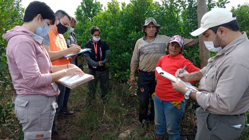 El RENATRE participó del Plan Regional de Inspección del Trabajo del MERCOSUR 2022