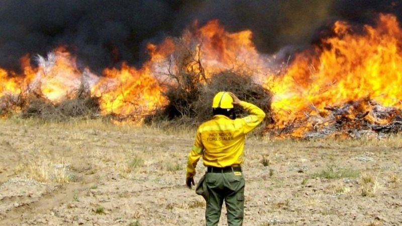 Incendios forestales consumieron 1200 hectáreas