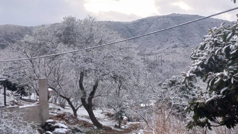 Imágenes de la primera nevada del año en El Rodeo