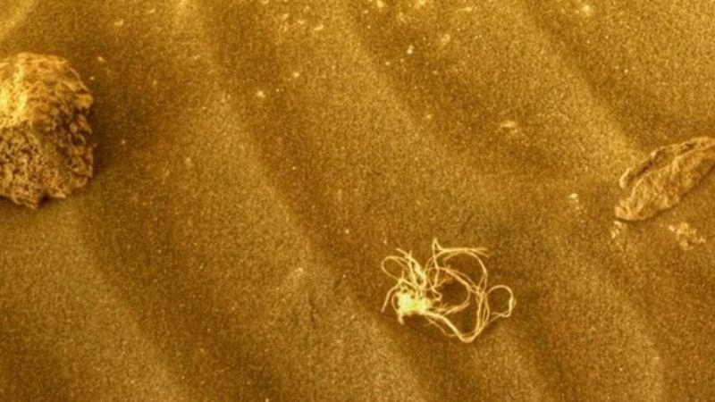 Misterio en Marte: el rover de la NASA descubrió en el suelo soga enredada