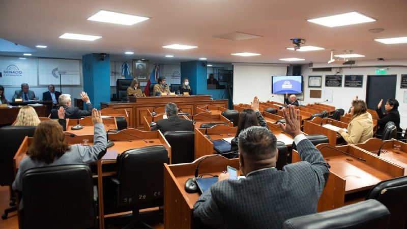 El Senado aprobó Leyes con un importante impacto social