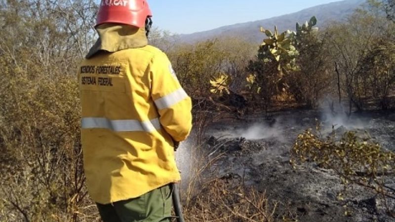 Peligrosidad extrema de incendios forestales