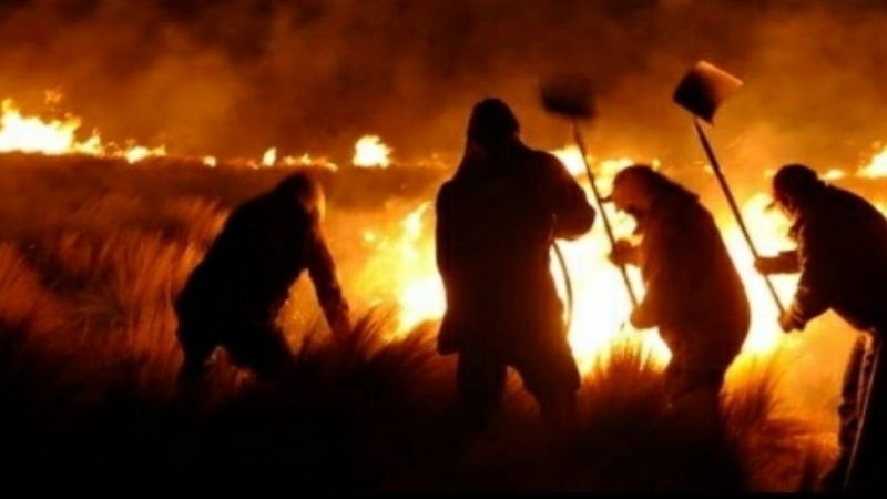 Es la temporada más crítica de incendios forestales en los últimos 20 años