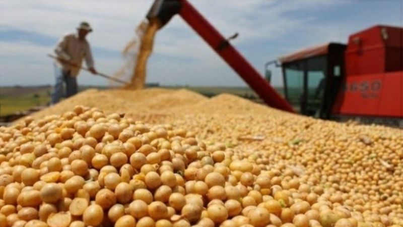 Finalmente el Central creó un "dólar soja" para el campo