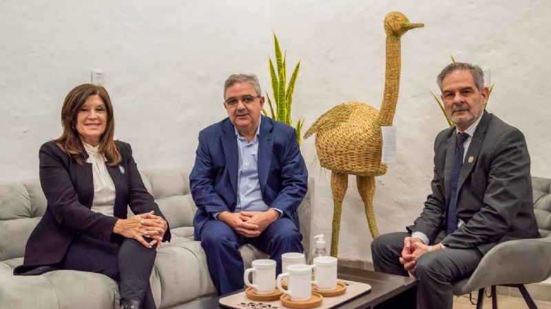 El Gobernador recibió al nuevo Rector de la UNT y avanzaron sobre la apertura de la carrera de Medicina