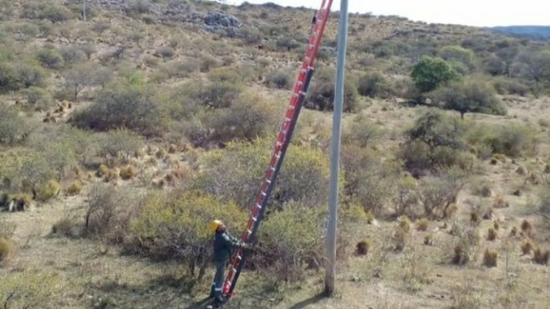 Pusieron la línea de 3000 metros