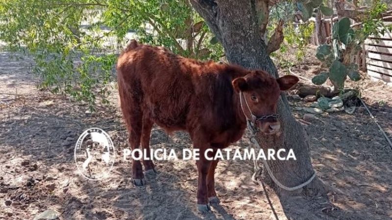 Esclarecen ilícitos en Lavalle