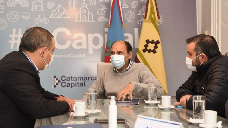 Se llevará adelante un plan de poda masiva