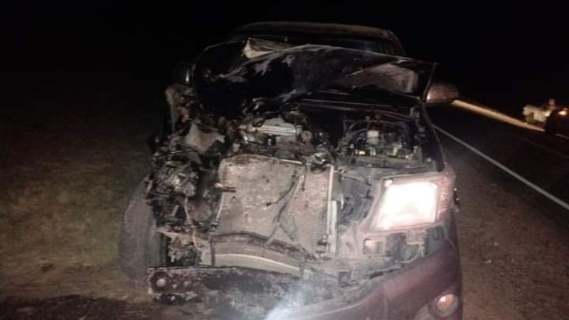 Siniestro Vial provocado por un animal en la Ruta