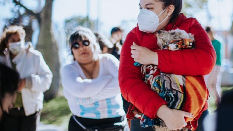 Zoonosis castró a más de 2.500 mascotas en #Tu Capital