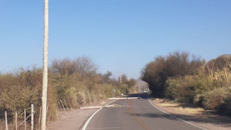 Por caída de columnas transitar con precaución en Ruta 60