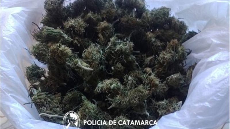 Buscaban a un hombre acusado de abuso sexual y encontraron marihuana