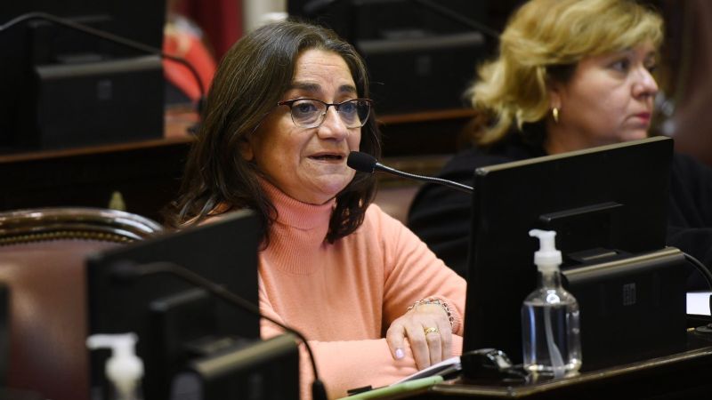 Es ley el proyecto de Prevención y Control de la Resistencia Antimicrobiana