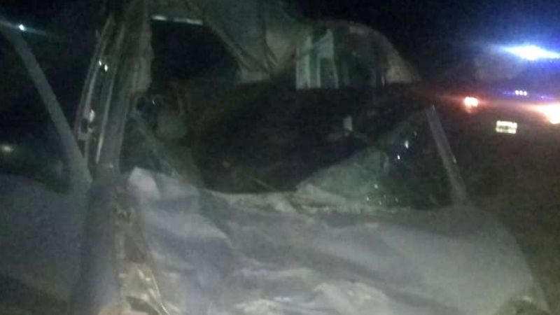 Chocó contra un caballo y el animal terminó dentro del vehículo