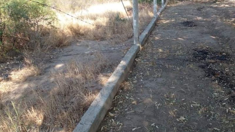 Se llevaron una zaranda completa