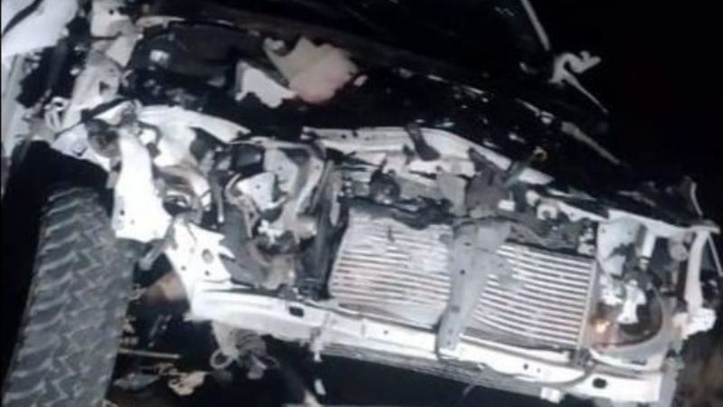 Otra vez un animal suelto causó un accidente