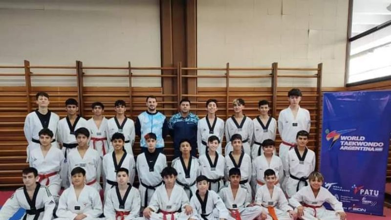 Juveniles "catas" del Taekwondo WT en el Cenard