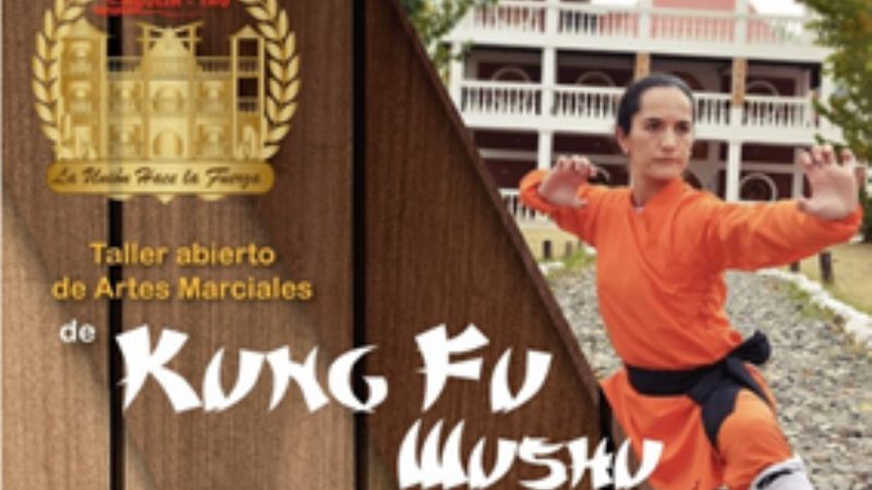 1er. Encuentro Abierto de Artes Marciales en Catamarca.