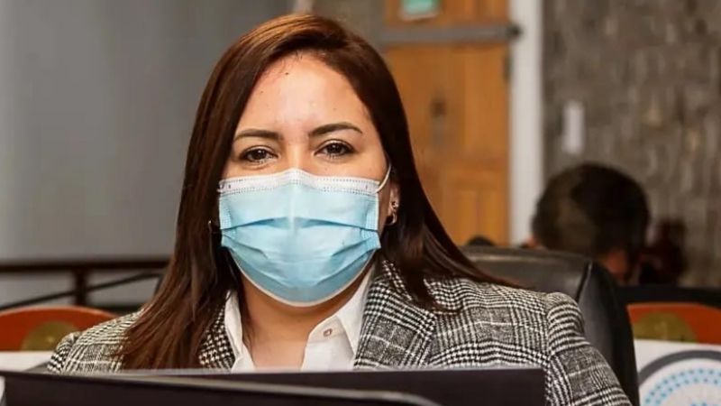 Pedido de informe por concesiones de agua