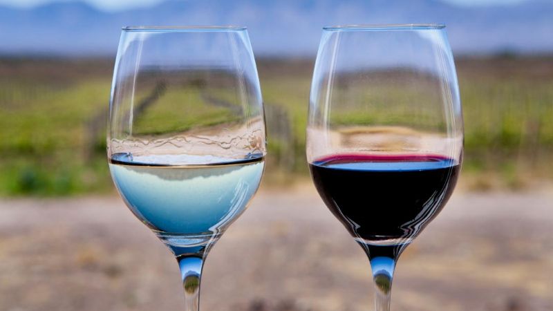 Anuncios, estrategias y talleres en el 4° Encuentro Regional de Enoturismo del NOA