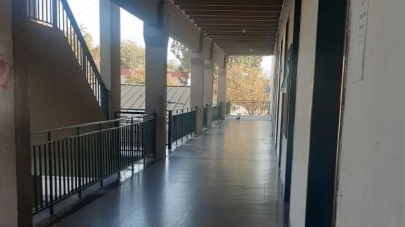 Contundente adhesión al paro universitario