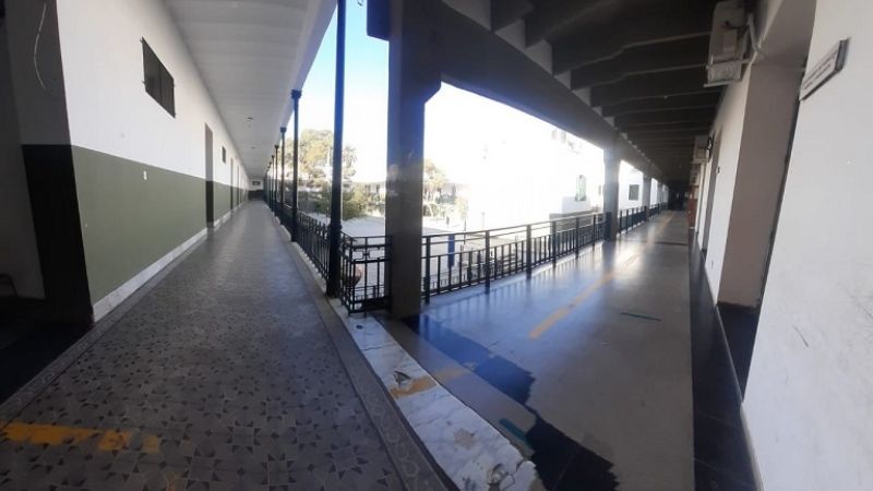 Contundente adhesión al paro universitario