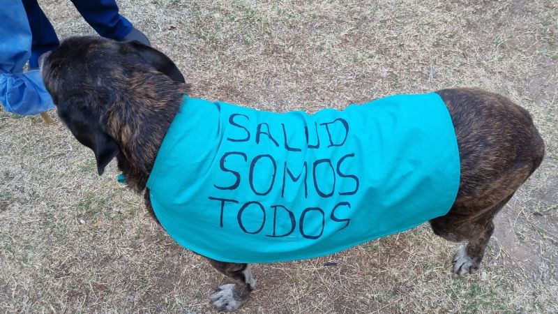 Masivo reclamo de Salud