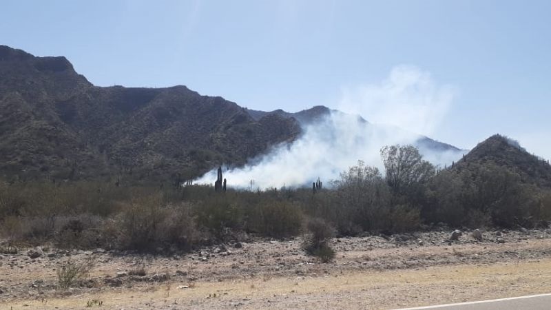 Por incendio de pastizales, transitar con precaución en La Cébila