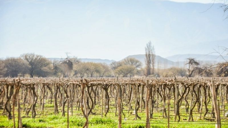 El Gobernador visitó emprendimientos productivos en Santa María