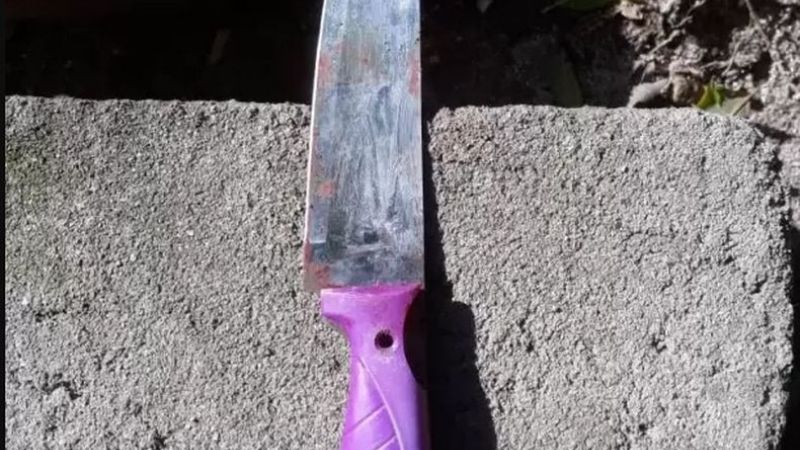 Detuvieron a un adolescente por agredir a su vecina