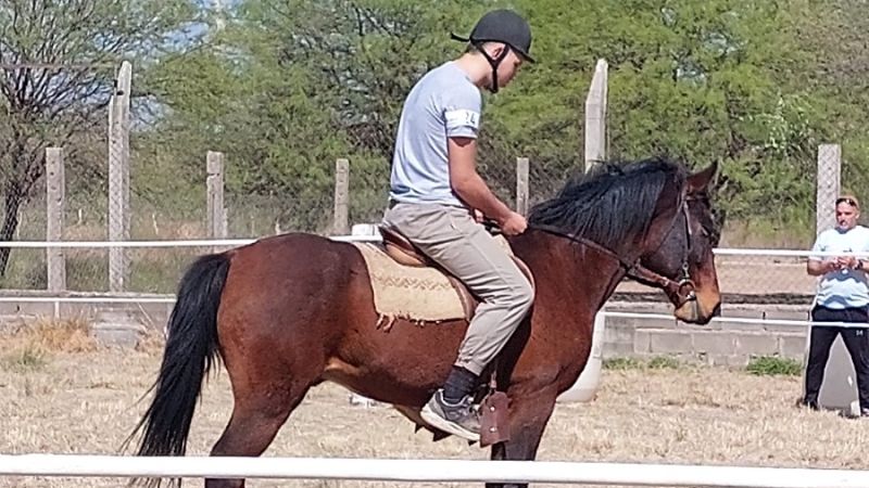 “ECU Recreo” y la experiencia inclusiva de la equinoterapia