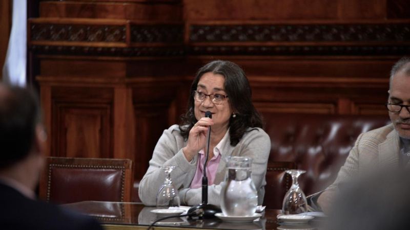 Un proyecto de ley para el cierre de minas se debatió en el senado nacional